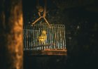 Bitcoin devs bet a quantum attacker will play nice with a ‘wait and react’ plan