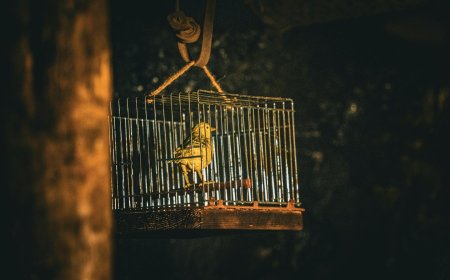 Bitcoin devs bet a quantum attacker will play nice with a ‘wait and react’ plan